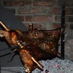 Agrifoglio