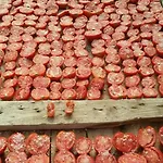 Agrifoglio *