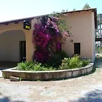 Agrifoglio San Giovanni Suèrgiu