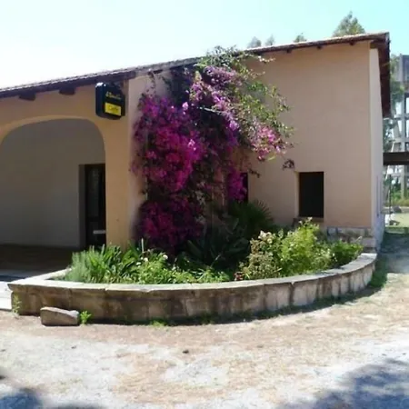 Agrifoglio San Giovanni Suèrgiu