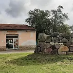 Agrifoglio *