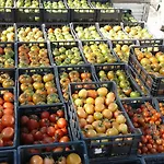 Фермерский дом Agrifoglio Сан-Джованни-Суерджу
