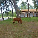 Фермерский дом Agrifoglio *