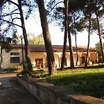 Agrifoglio *