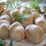 Agrifoglio