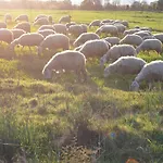 Agrifoglio Фермерский дом *