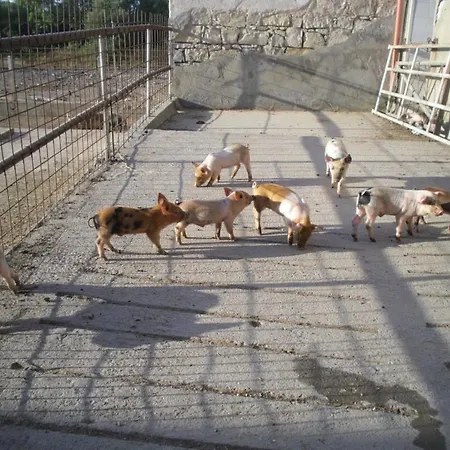 Agriturismo Agrifoglio * San Giovanni Suèrgiu