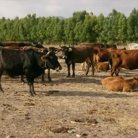 Agrifoglio Séjour à la ferme