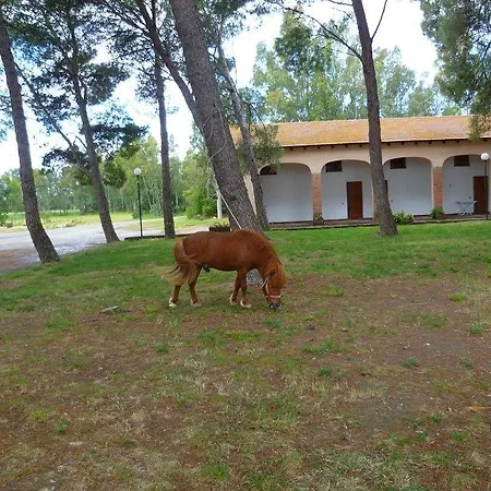 Bauernhof Agriturismo Agrifoglio *