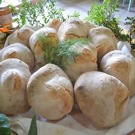 Agriturismo Agrifoglio