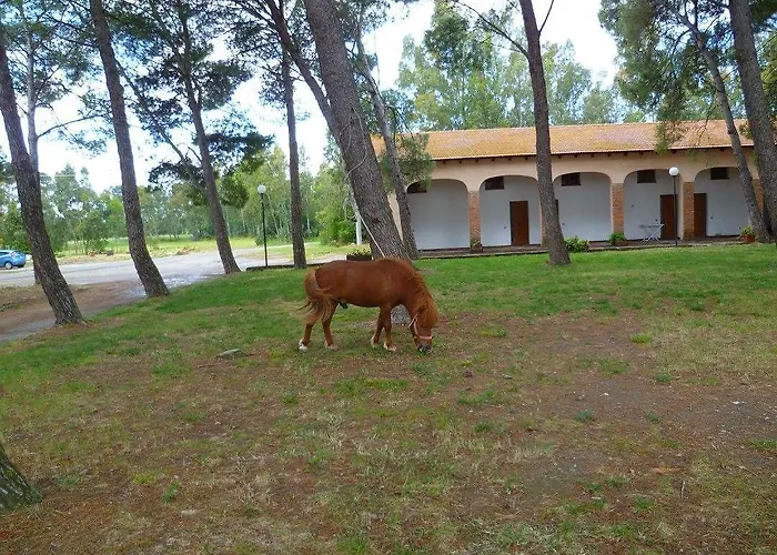 Farmház Agrifoglio *
