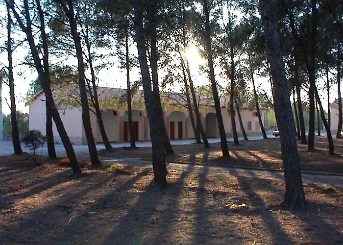 Agrifoglio San Giovanni Suèrgiu