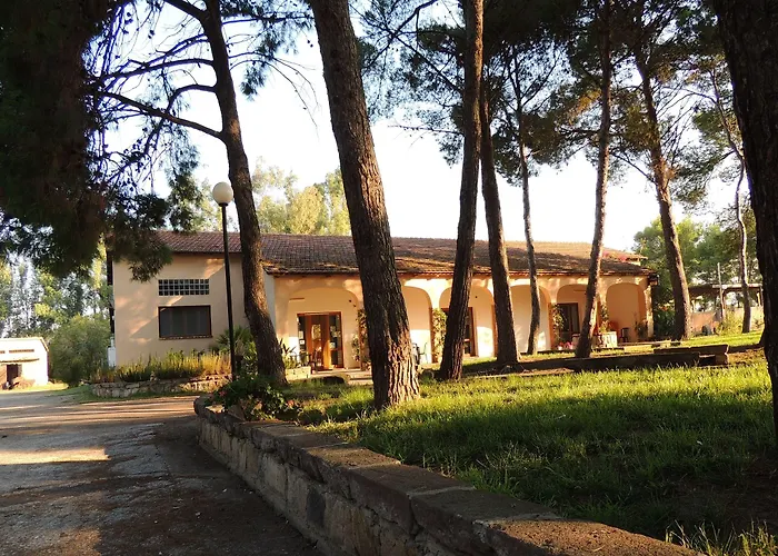 Agrifoglio *