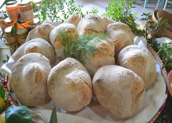 Agrifoglio