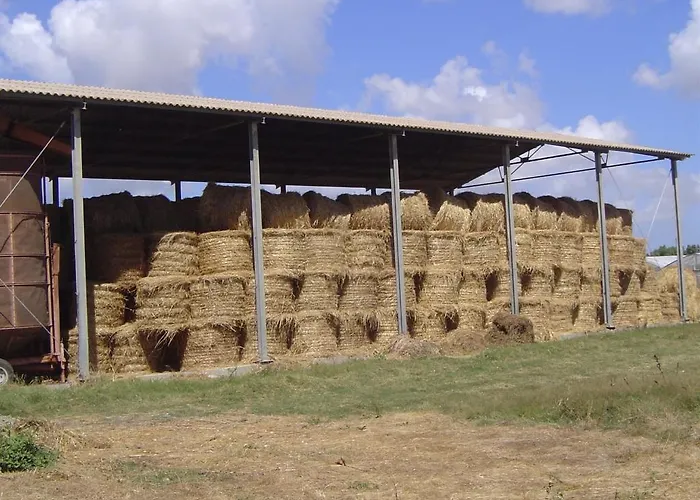 Farmház Agrifoglio San Giovanni Suèrgiu